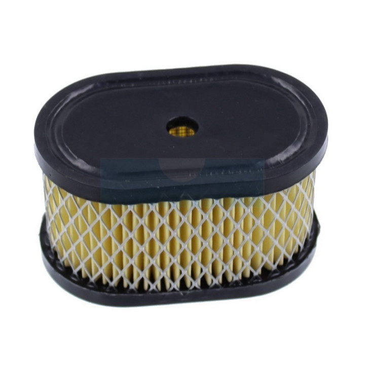 Filtre à air pour moteur Briggs & Stratton (494586)