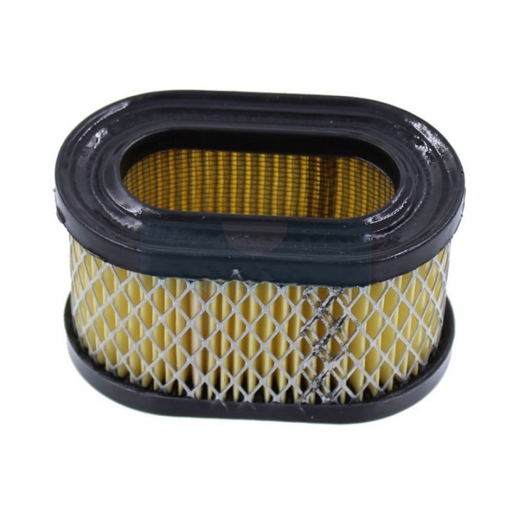 Filtre à air pour moteur Briggs & Stratton (494586)