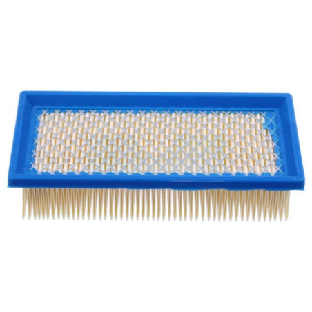 Filtre à air pour moteur Briggs & Stratton (491384)