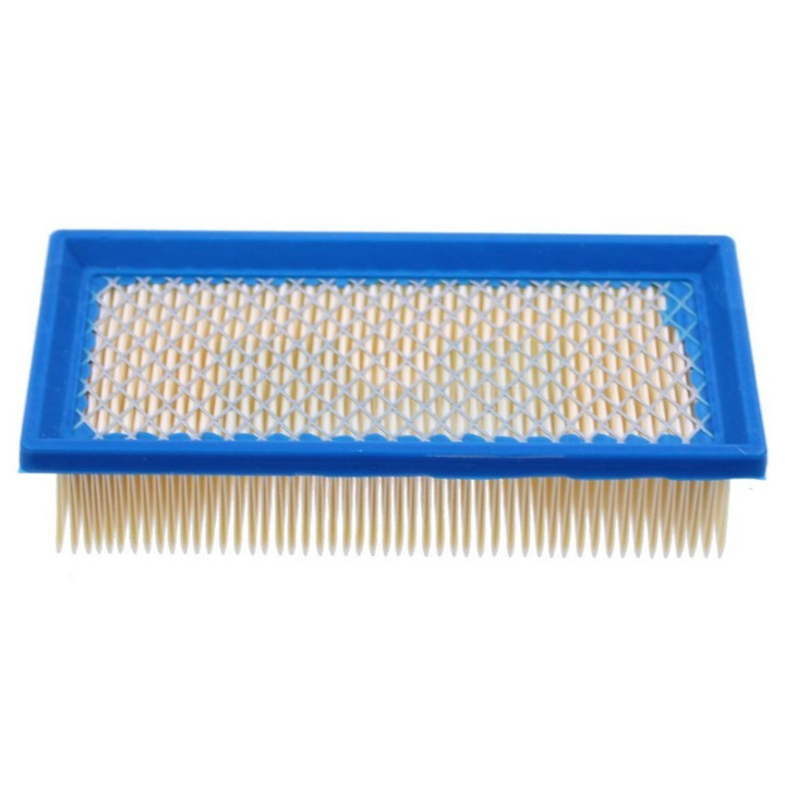 Filtre à air pour moteur Briggs & Stratton (491384)