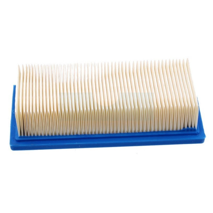 Filtre à air pour moteur Briggs & Stratton (491384)