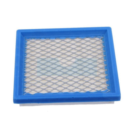 Filtre à air pour moteur Briggs & Stratton (399877)