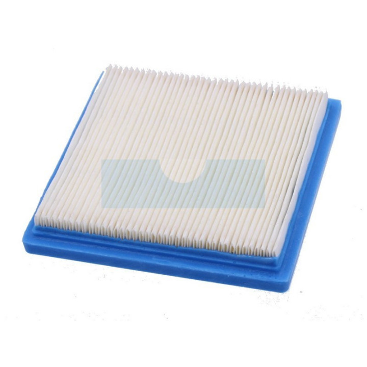 Filtre à air pour moteur Briggs & Stratton (399877)