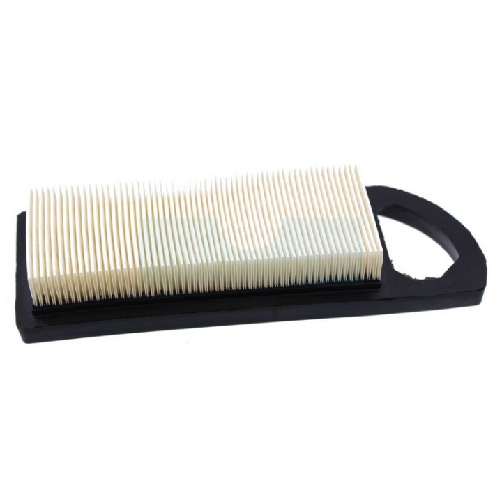 Filtre à air pour moteur Briggs & Stratton (697014)