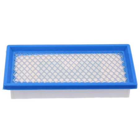 Filtre à air pour moteur Briggs & Stratton (494511)