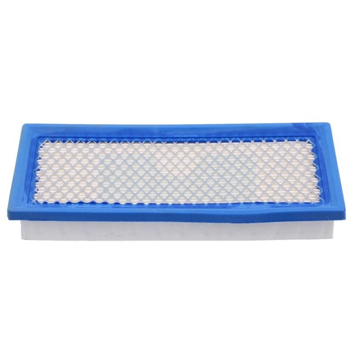 Filtre à air pour moteur Briggs & Stratton (710266)