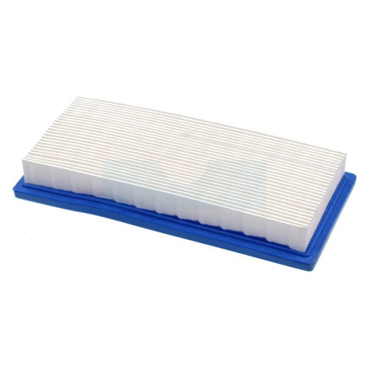 Filtre à air pour moteur Briggs & Stratton (710266)