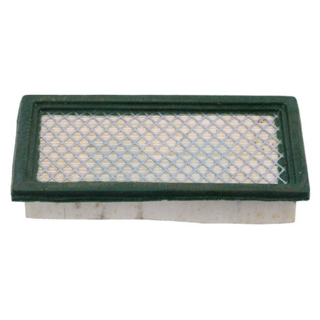 Filtre à air pour moteur Briggs & Stratton (710265)