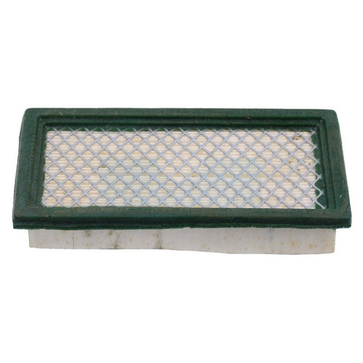Filtre à air pour moteur Briggs & Stratton (710265)