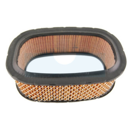 Filtre à air pour tronçonneuse Homelite (2308)