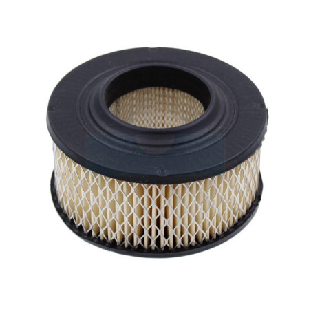Filtre à air pour tronçonneuse Homelite (46073)