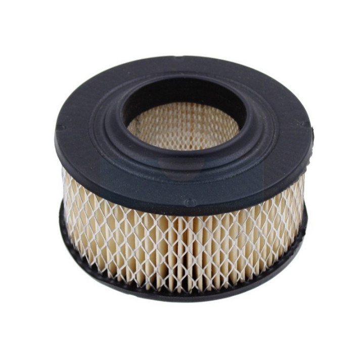Filtre à air pour tronçonneuse Homelite (46073)