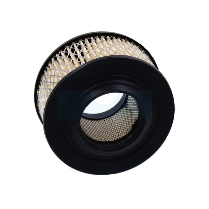 Filtre à air pour tronçonneuse Homelite (46073)