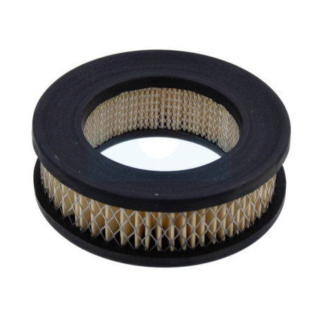 Filtre à air pour tronçonneuse Homelite (46687)
