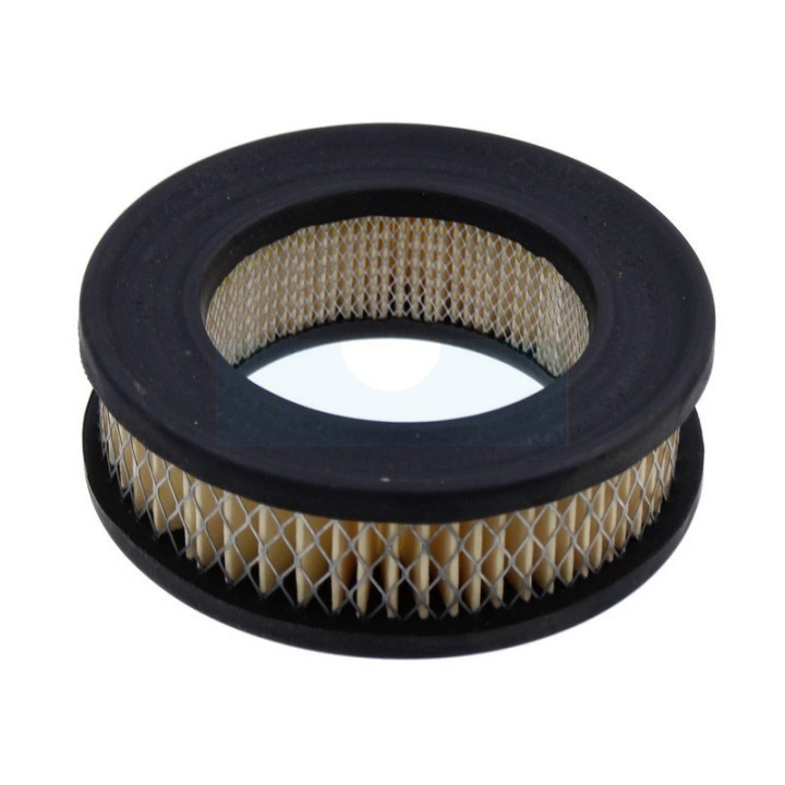 Filtre à air pour tronçonneuse Homelite (46687)