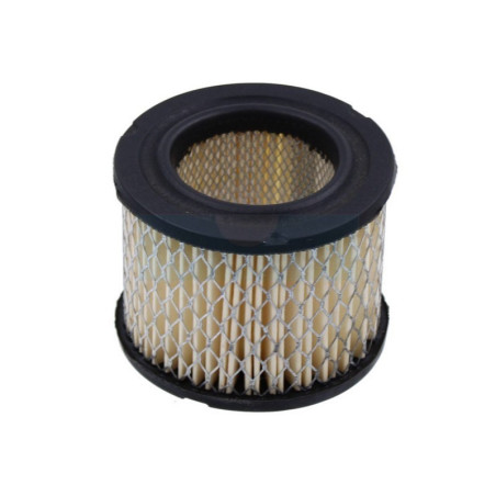 Filtre à air pour tronçonneuse Homelite (47867A)