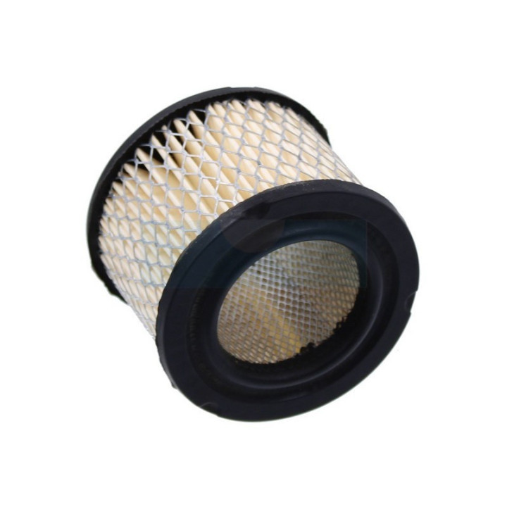 Filtre à air pour tronçonneuse Homelite (47867A)