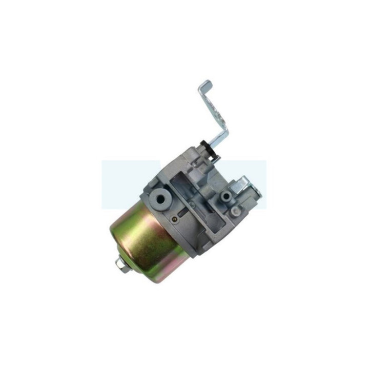 Carburateur pour moteur Robin