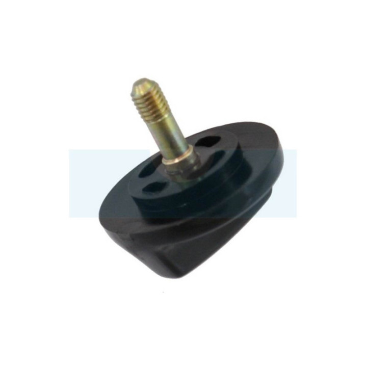 Bouton pour Echo (V299000410)