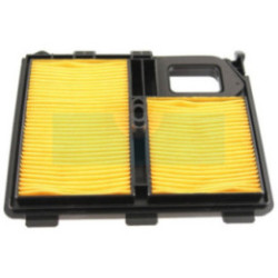 Filtre à air pour moteur Honda (17010ZJ1000)