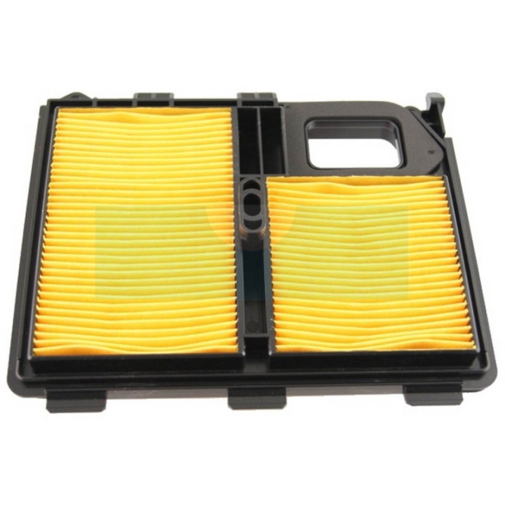 Filtre à air pour moteur Honda (17010ZJ1000)
