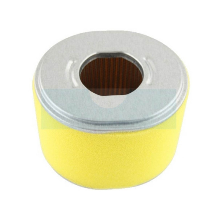 Filtre à air pour moteur Loncin (1801000380001)