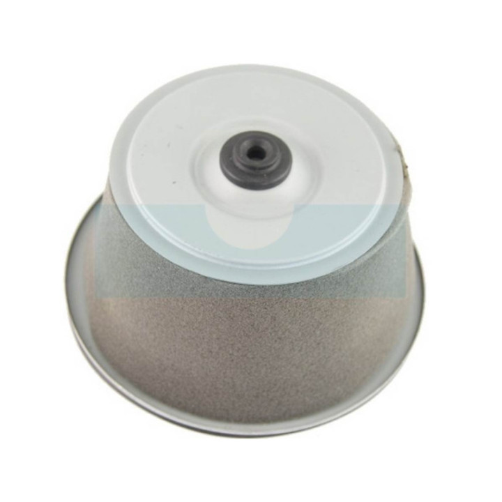 Filtre à air pour moteur Honda (172A1883902)