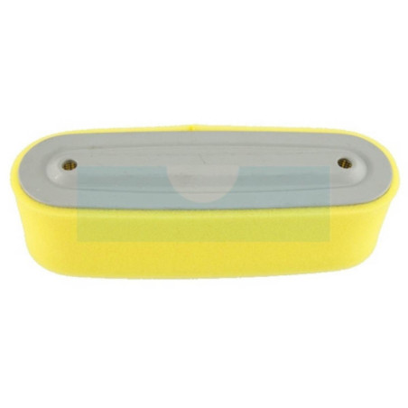 Filtre à air pour moteur Honda (17211891004)