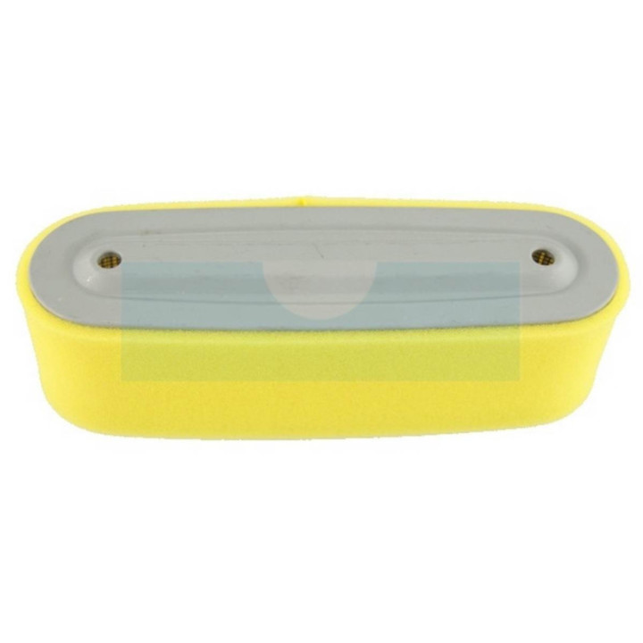 Filtre à air pour moteur Honda (17211891004)