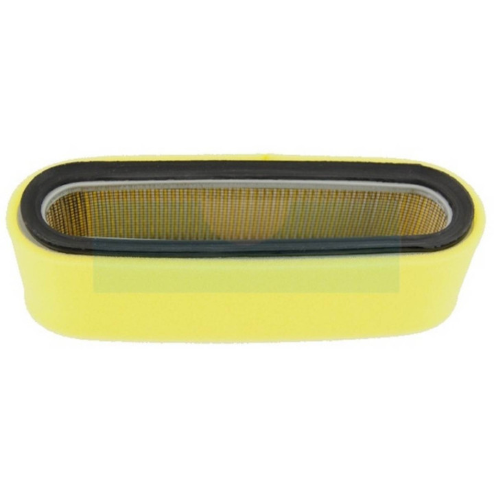 Filtre à air pour moteur Honda (17211891004)