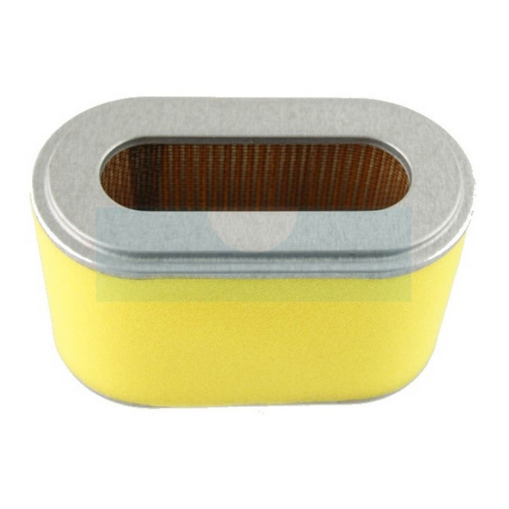 Filtre à air pour moteur / tracteur tondeuse Honda (17210ZE8003)