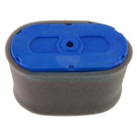 Filtre à air pour moteur Honda (17211ZF5V01)