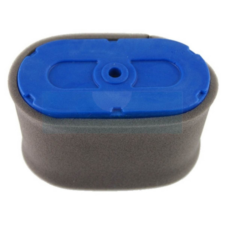 Filtre à air pour moteur Honda (17211ZF5V01)