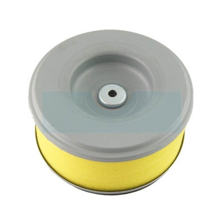 Filtre à air pour moteur Honda (17210ZG3003)