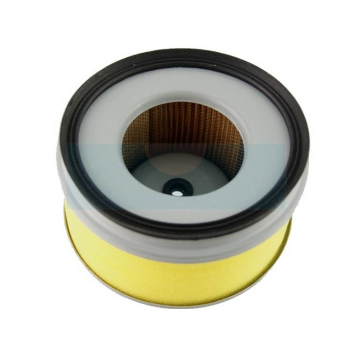 Filtre à air pour moteur Honda (17210ZG3003)