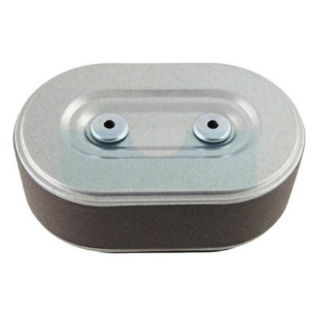 Filtre à air pour moteur Honda (17211ZB5808)