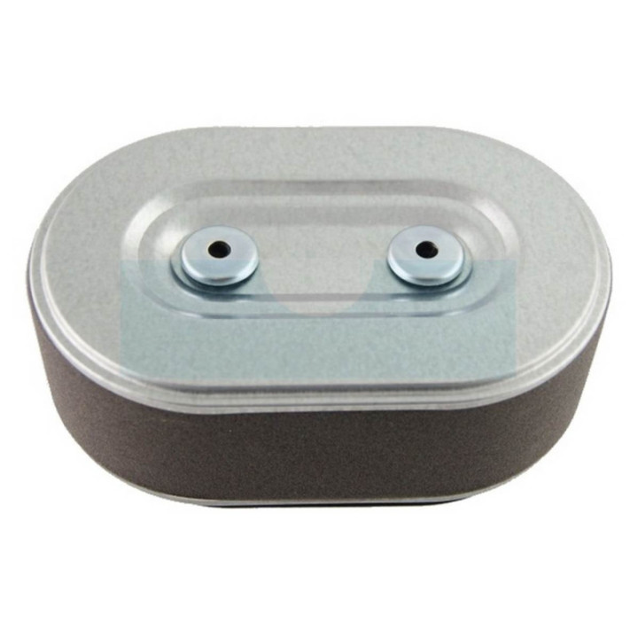 Filtre à air pour moteur Honda (17211ZB5808)