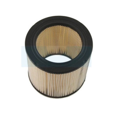 Filtre à air pour moteur Kohler (2808304)