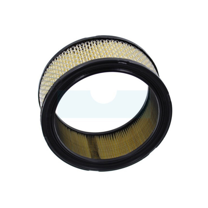Filtre à air pour moteur Kohler (2408303)