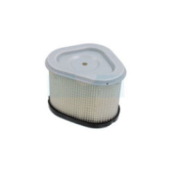 Filtre à air pour moteur Kohler (1208310)