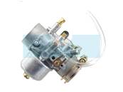 Carburateur pour tondeuse débroussailleuse / tondeuse As Motor (E04500)