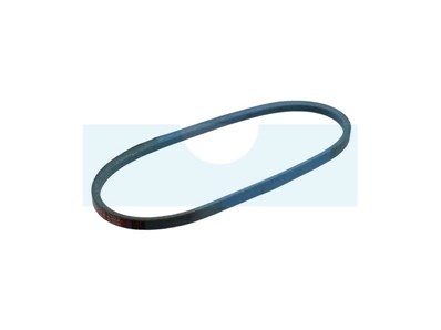 Courroie pour tondeuse Bunton (PL0148)