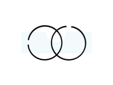 Segment pour moteur Echo (10001121230)