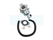 Carburateur pour moteur Briggs & Stratton (594605)