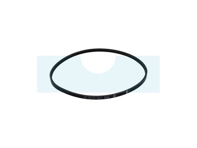 Courroie pour tondeuse Outils-Wolf (38799)