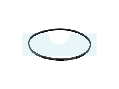 Courroie pour tondeuse Wolf (37974)