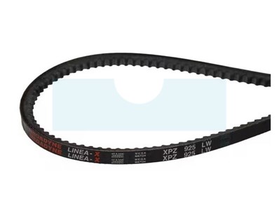 Courroie pour tondeuse Gianni Ferrari (00.17.00.0310)