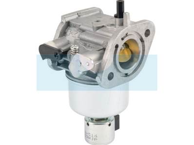 Carburateur pour moteur Kawasaki (150037084)