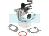 Carburateur pour moteur Briggs & Stratton (797736)