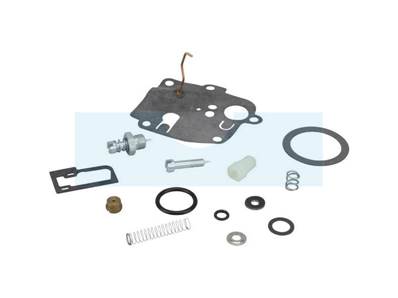 Kit réparation pour moteur carburateur Briggs & Stratton (494623)